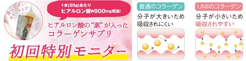 �J�j�E�G�r�b�k�L�`�������R���[�Q���[���[���T�C�g